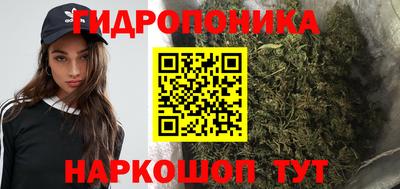 ECSTASY Кингисепп