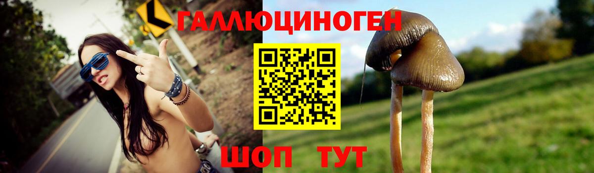 Кохма  Псилоцибиновые грибы прущие грибы  Псилоцибиновые грибы мухоморы  Вход с VPN 
